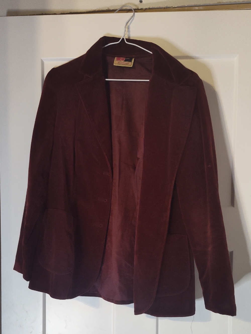 TanJay Velvet Blazer in Deep Burgundy